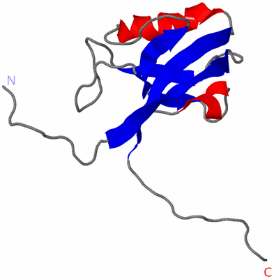 Image NMR Structure - model 1