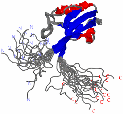 Image NMR Structure - all models