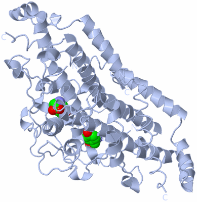 Image Biological Unit 1