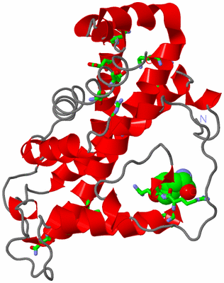 Image Asym. Unit - sites