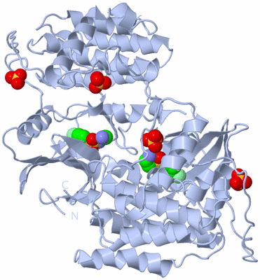 Image Biological Unit 1