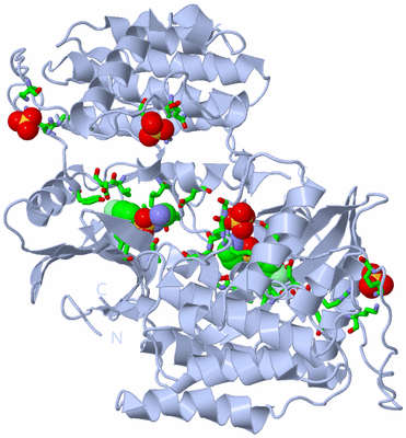 Image Biol. Unit 1 - sites