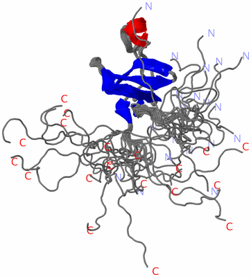 Image NMR Structure - all models