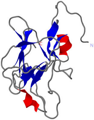 Image NMR Structure - model 1