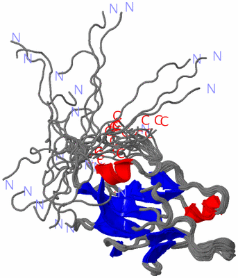 Image NMR Structure - all models
