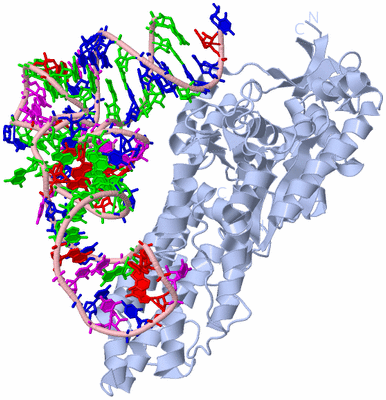 Image Biological Unit 1