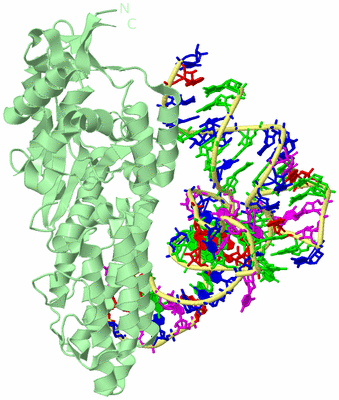 Image Biological Unit 2