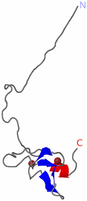 Image NMR Structure - model 1