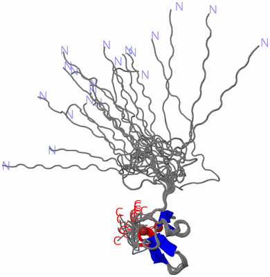 Image NMR Structure - all models