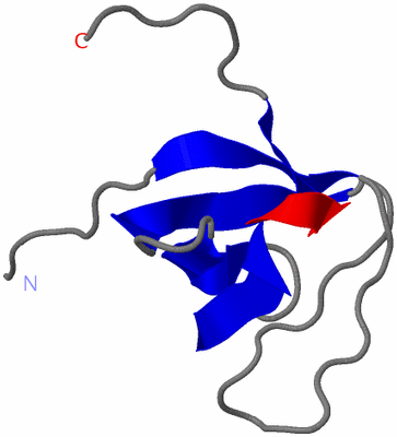 Image NMR Structure - model 1