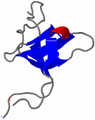 Image NMR Structure - model 1