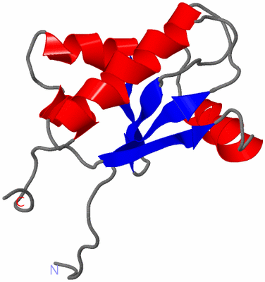 Image NMR Structure - model 1