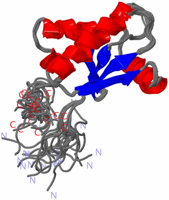 Image NMR Structure - all models