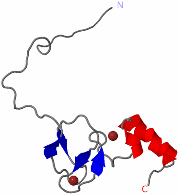 Image NMR Structure - model 1