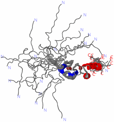 Image NMR Structure - all models