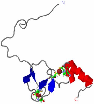 Image NMR Structure - model 1, sites