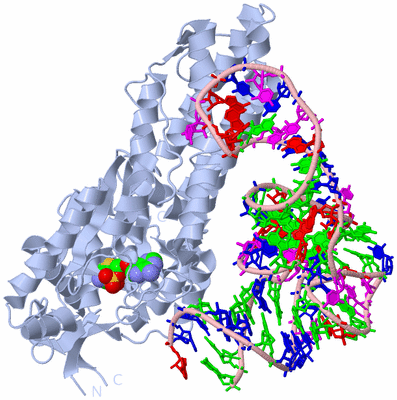 Image Biological Unit 1