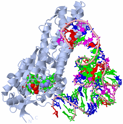 Image Biol. Unit 1 - sites