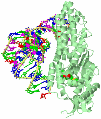 Image Biological Unit 2