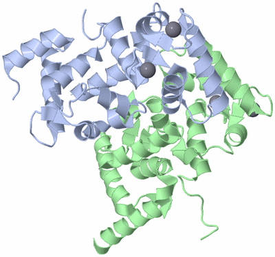 Image Biological Unit 3