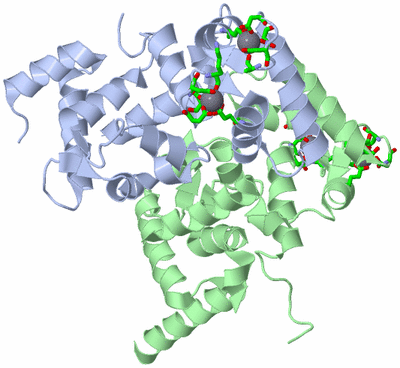 Image Asym. Unit - sites