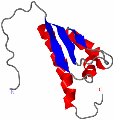 Image NMR Structure - model 1