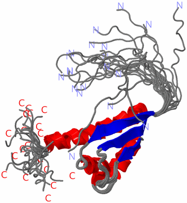 Image NMR Structure - all models