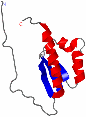 Image NMR Structure - model 1