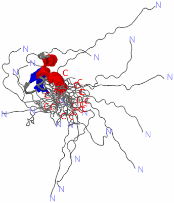 Image NMR Structure - all models