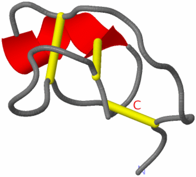 Image NMR Structure - model 1