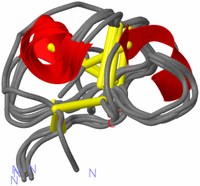 Image NMR Structure - all models