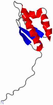 Image NMR Structure - model 1