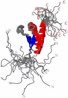 Image NMR Structure - all models