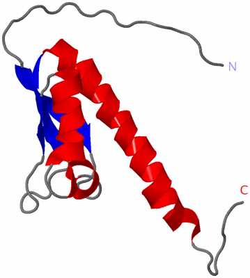 Image NMR Structure - model 1