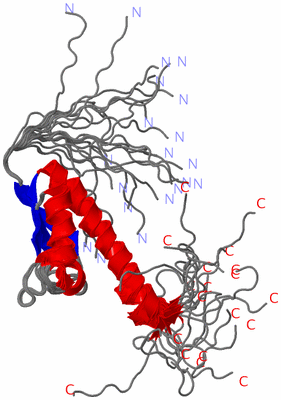 Image NMR Structure - all models