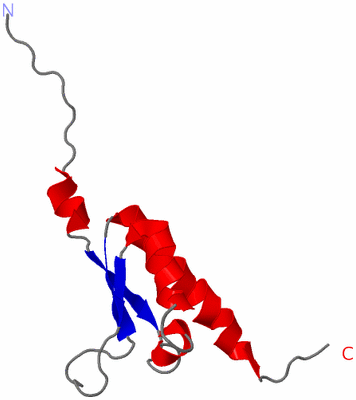 Image NMR Structure - model 1