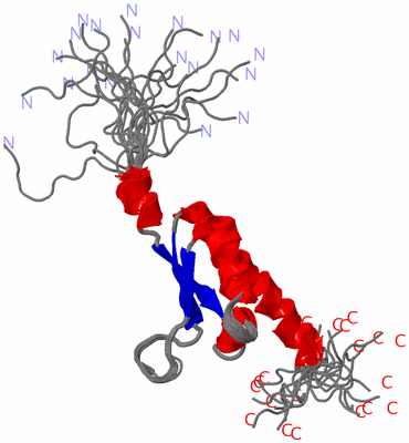 Image NMR Structure - all models