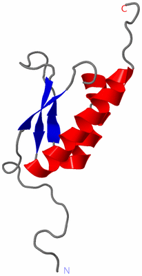 Image NMR Structure - model 1