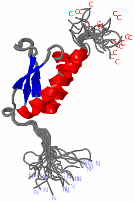 Image NMR Structure - all models