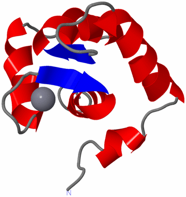 Image NMR Structure - model 1