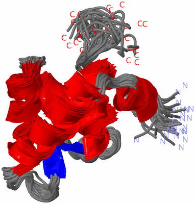 Image NMR Structure - all models