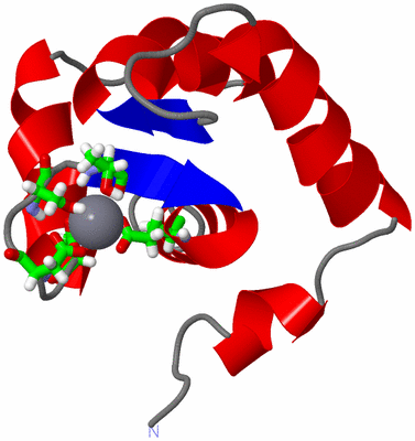 Image NMR Structure - model 1, sites