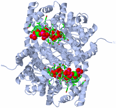 Image Biol. Unit 1 - sites