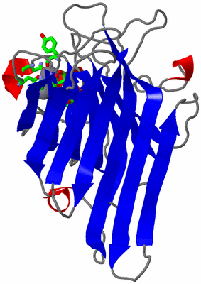 Image Asym. Unit - sites