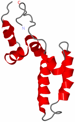 Image NMR Structure - model 1