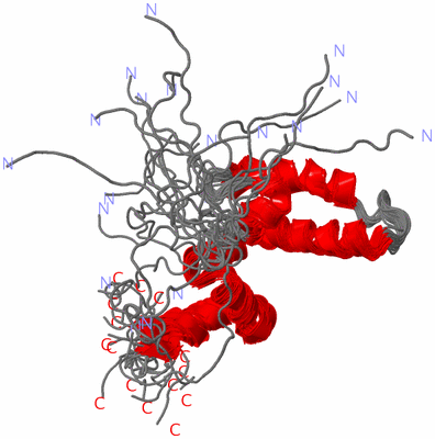 Image NMR Structure - all models