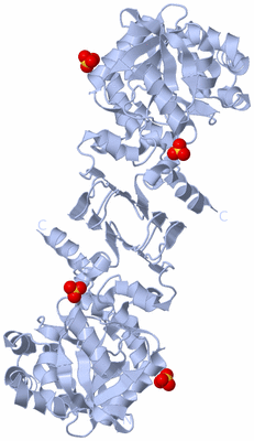 Image Biological Unit 1