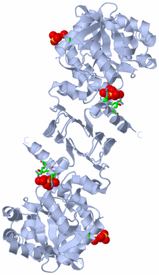 Image Biol. Unit 1 - sites