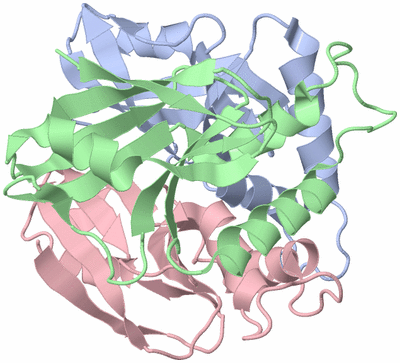 Image Asym./Biol. Unit