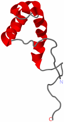 Image NMR Structure - model 1